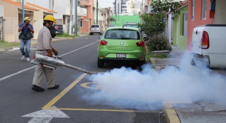 Refuerza Salud acciones preventivas para combatir proliferación de mosquitos