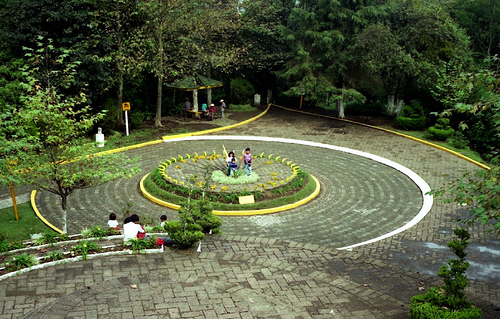 Trabajos de restauración en el Cerro del Macuiltépetl de Xalapa