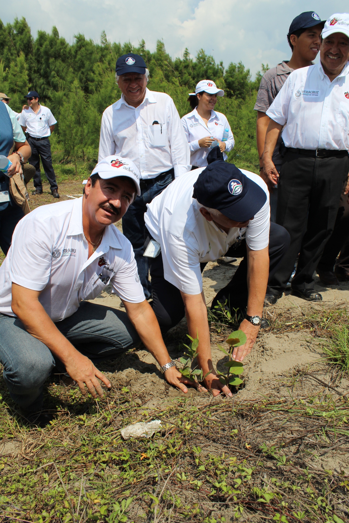 Reforestan PMA y API zona norte del puerto de Veracruz