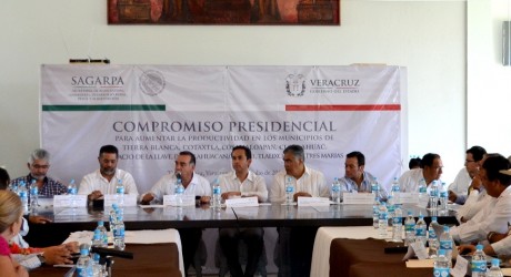 Fuerte impulso a la producción agropecuaria del sur de Veracruz