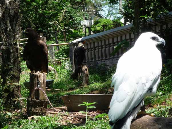 La región de Xalapa, lista con actividades ecoturísticas para disfrutar en familia las vacaciones de verano