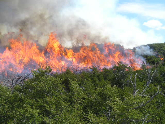 Ola de calor provoca que tres incendios estén activos en el estado de Veracruz