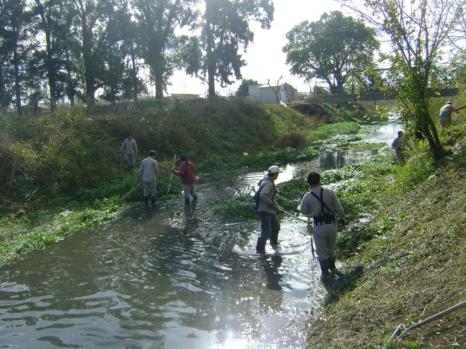 Con el programa de empleo temporal la Comisión Nacional del Agua despejará los cauces de canales, arroyos y ríos en el sur del estado