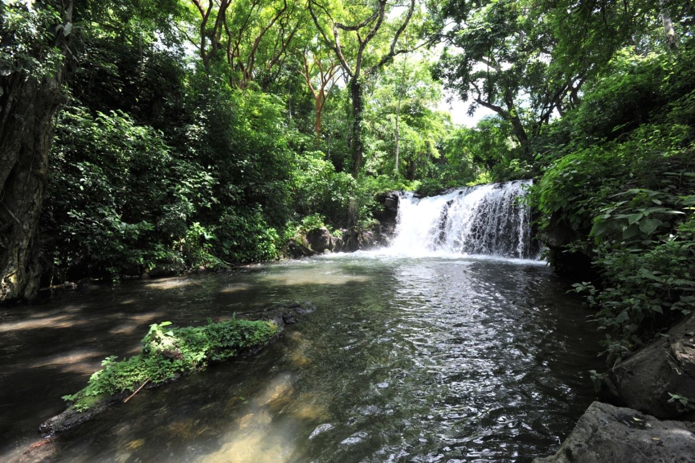 Los Tuxtlas, un destino ecoturístico por descubrir