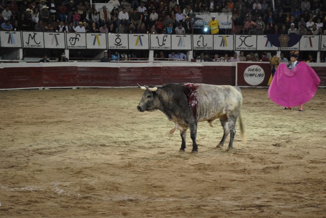 Manifestaciones en contra de la iniciativa de Ley para la Protección de la Cultura Taurina
