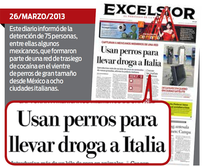 Caen por exportar perros con cocaína de México a Italia