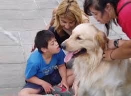 Perros con entrenamiento especializado ayudan a niños con autismo y síndrome de Down