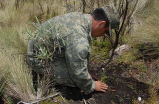Ejército Mexicano inicia campaña Centenario de reforestación en Cofre de Perote y Pico de Orizaba