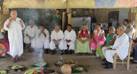 Celebran totonacas veracruzanos y huicholes ritual Wixárika, en Nayarit