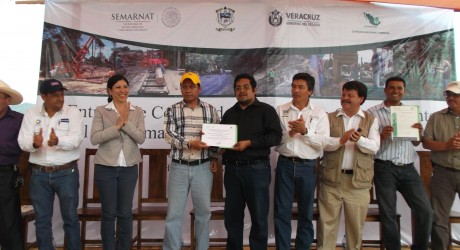 Veracruz, líder nacional en desarrollo forestal sustentable