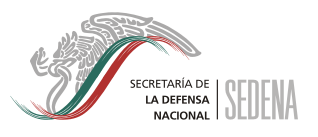 Veracruz Seguro da resultados: 198 delincuentes detenidos