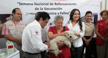 Con casi 700 puestos de vacunación, inmunizará Secretaría de Salud a más de 600 mil mascotas