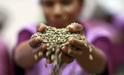 Mujeres productoras del campo, otra alternativa