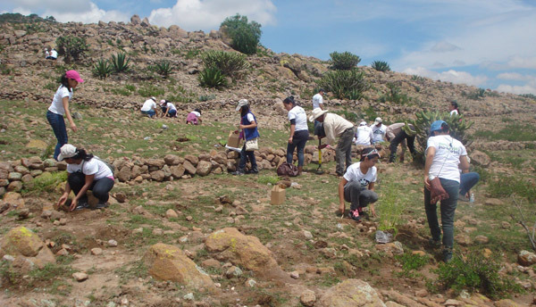 En Los Tuxtlas, asociaciones civiles organizan la reforestación para generar agua
