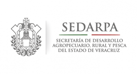 Veracruz, segundo lugar nacional en producción de maíz