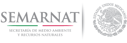 Aplica Semarnat programas para resarcir afectaciones meteorológicas en Veracruz
