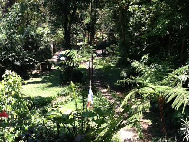 El santuario del bosque de niebla en Xalapa podría ser afectado por la urbanización