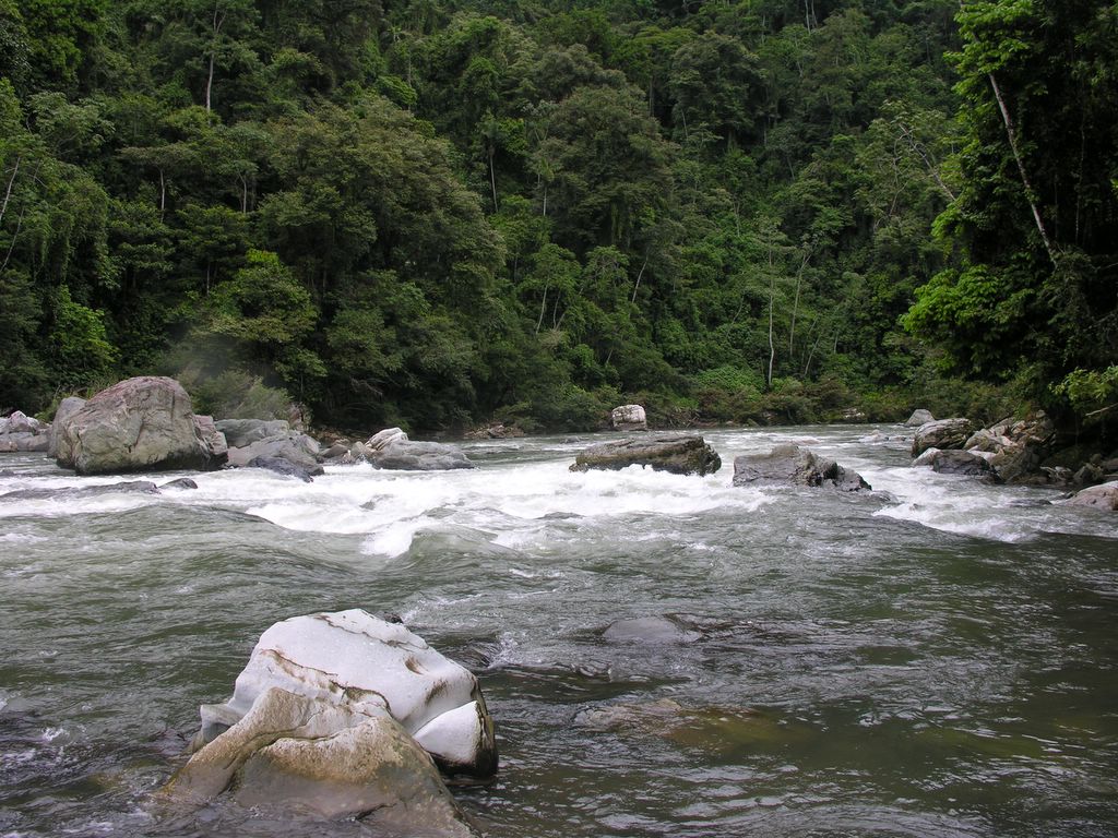 El Fondo Ambiental Veracruzano apoyará a 500 productores del campo con una inversión de 7 millones de pesos