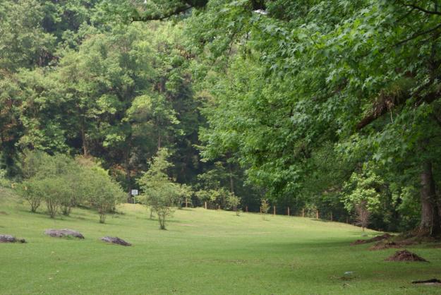 Necesario hacer conciencia y actuar de manera inmediata para no afectar más el entorno natural: Martín Aluja