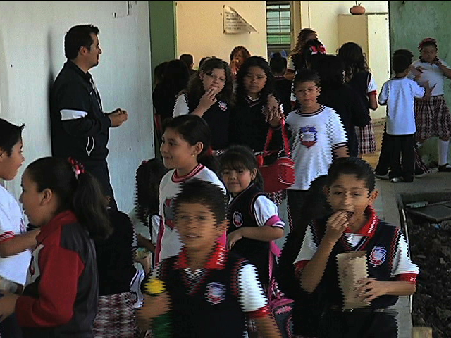 Escuelas primarias de Veracruz trabajan con normalidad; maestros preparan estrategias para reponer clases perdidas