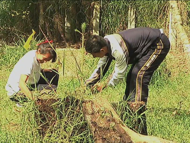 Con reforestación inicia en Veracruz la Semana Nacional por la Conservación