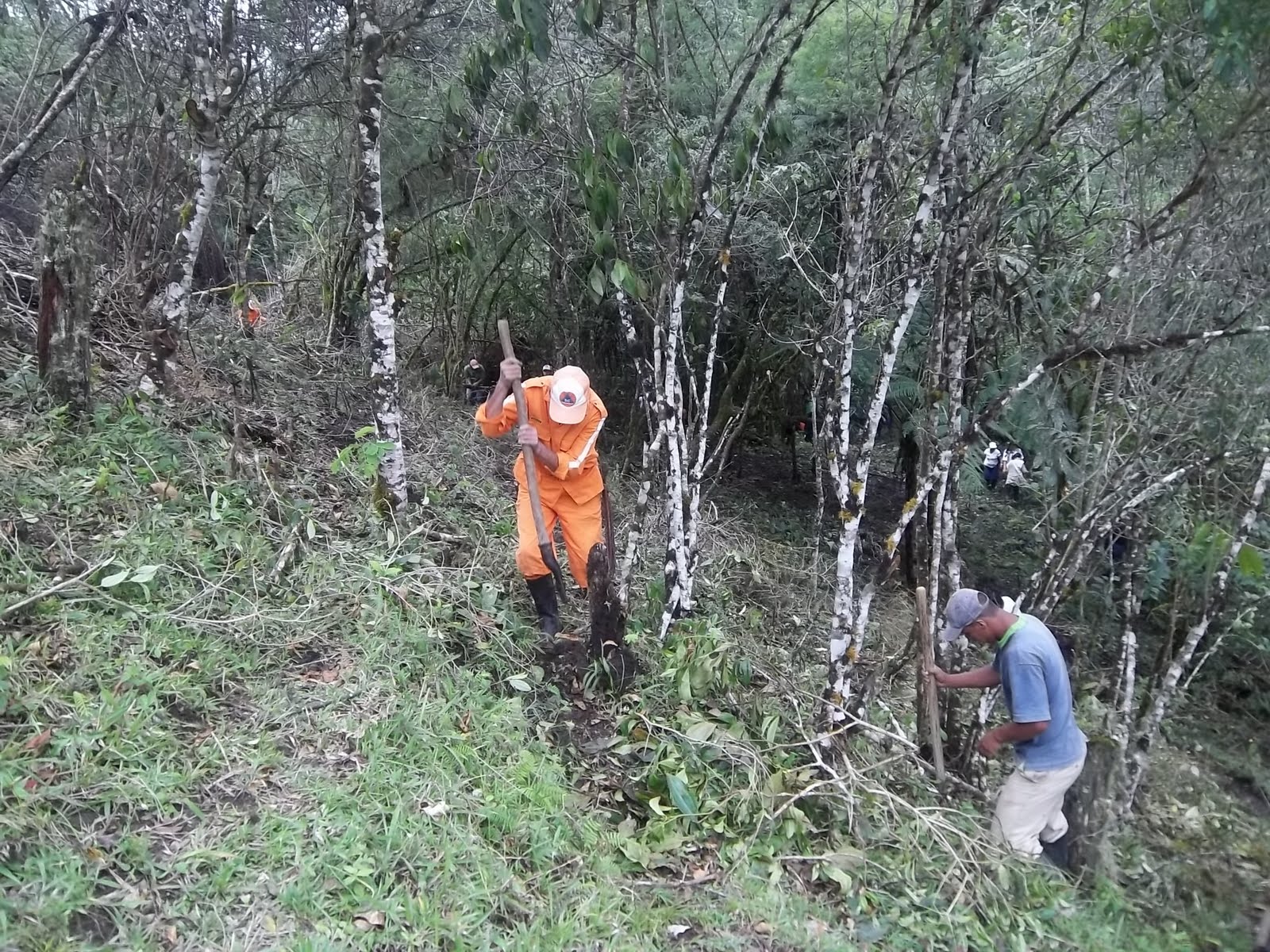 Semarnat destina 40 millones de pesos como parte del programa de empleo temporal para acciones de reforestación y limpieza de cuencas