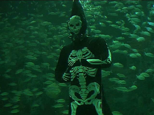 Se sumerge la huesuda en peceras del Acuario de Veracruz