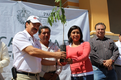 Inicia reforestación de zonas afectadas por lluvias