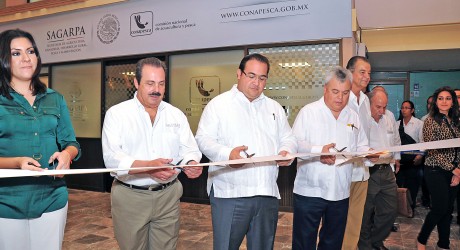 En Veracruz, fuerte impulso a los sectores pesquero y acuícola