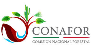 Institutos Tecnológicos de Juan Rodríguez Clara y Jesús Carranza firman convenio con Conafor