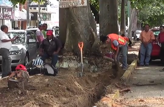 Industriales de la Construcción del sur de Veracruz, reportan una disminución en el nivel de carga de trabajo