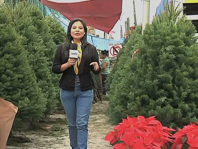 Llega el espíritu navideño a hogares veracruzanos