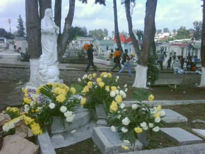 Abandonadas, casi la mitad de las tumbas en el panteón Jardín de Veracruz
