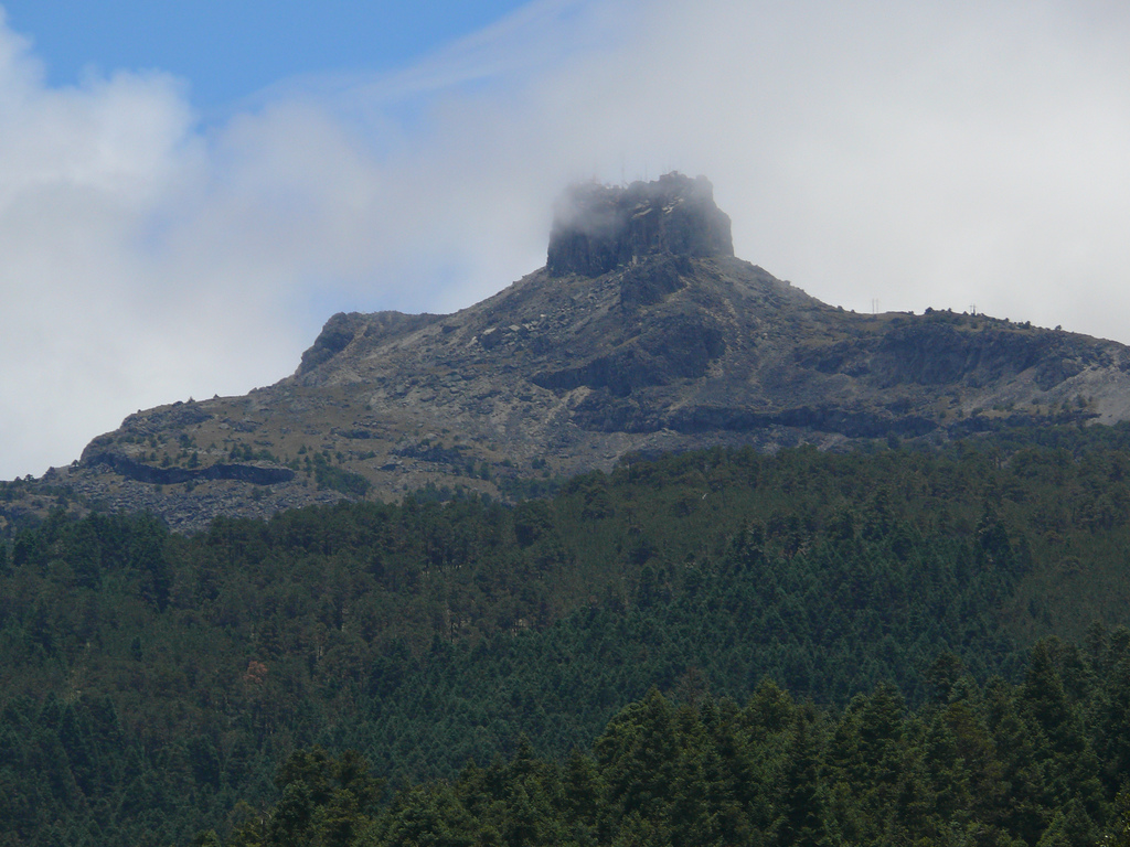 El Parque Nacional del Cofre de Perote presenta daños en el 70 por ciento de su superficie