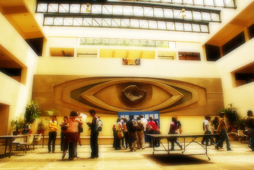 Las instituciones deben hacer hincapié en brindar atención psicológica a las víctimas de violencia