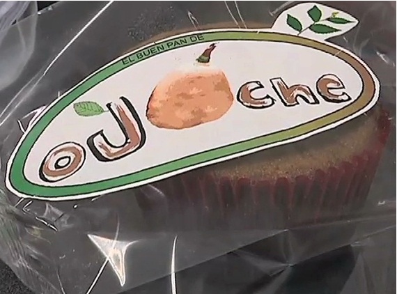 En las comunidades los universitarios buscan disminuir la desnutrición con pan de ojoche