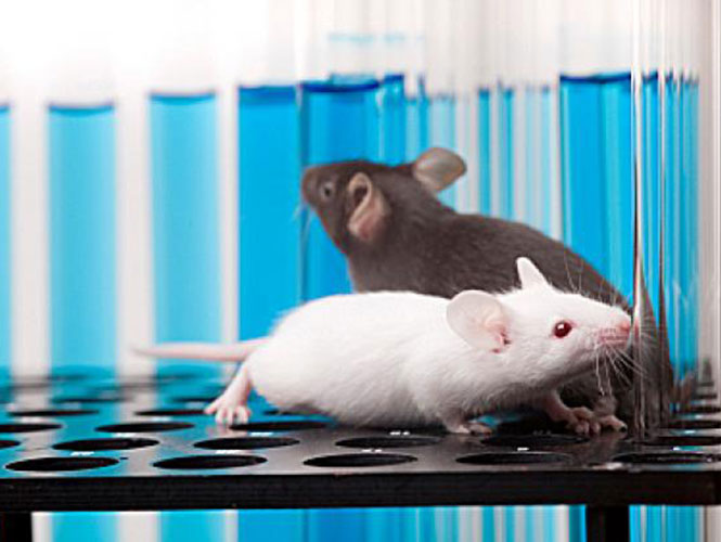 Mamás promiscuas tienen hijos más atractivos, revela estudio