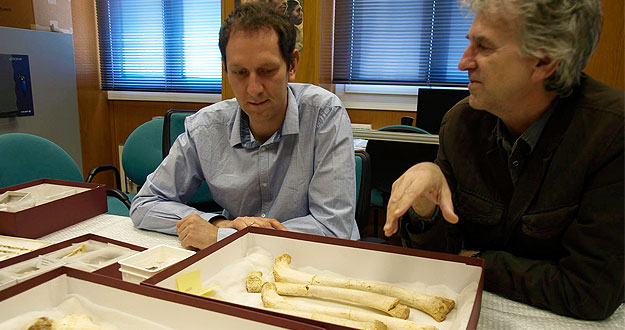 Hallan en Atapuerca España el ADN humano más antiguo, de unos 400.000 años