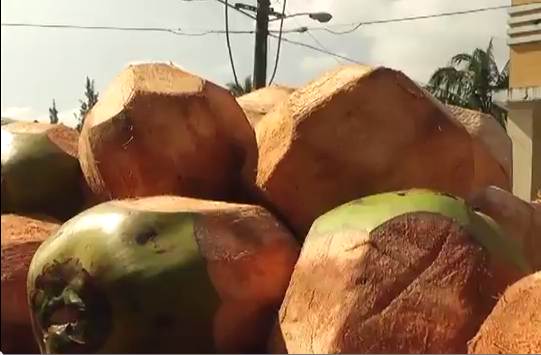 Los Copreros de Veracruz reciben apoyos del Gobierno Estatal