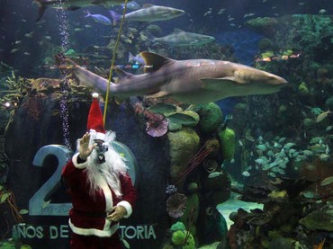 Santa Claus adelanta la navidad en el Acuario de Veracruz