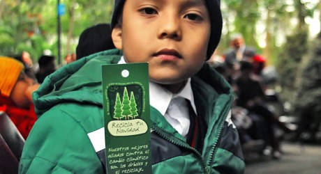Con la campaña Recicla tu Navidad, los árboles acopiados serán reincorporados al entorno: Sedema