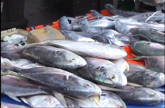 El clima afecta a comerciantes de pescados y mariscos en el primer mes del año