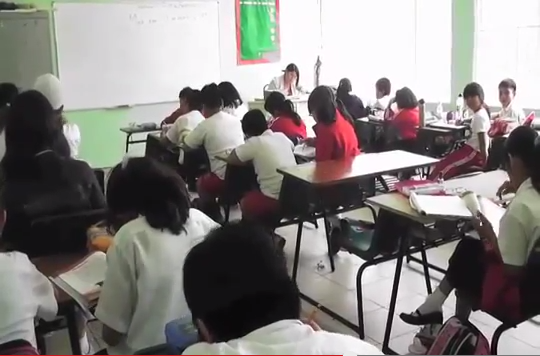 Ningún estudiante de la zona sur ha contraído el virus de la influenza a H1N1