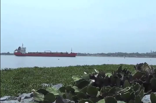 Buscaran promover el turismo portuario de Coatzacoalcos