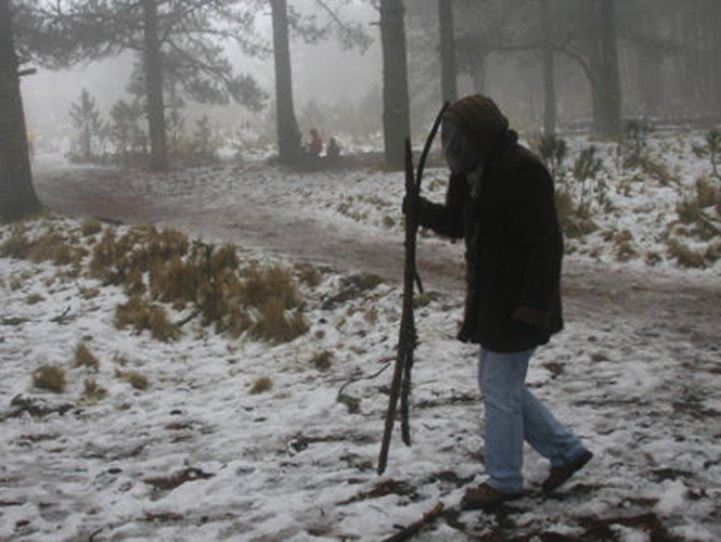 Han azotado Tlaxcala 29 heladas en esta temporada invernal