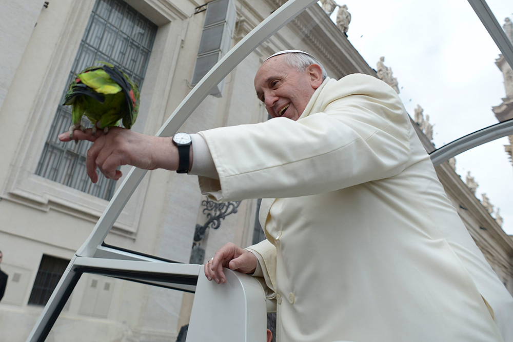 El papa Francisco se ‘reconcilia’ con las aves