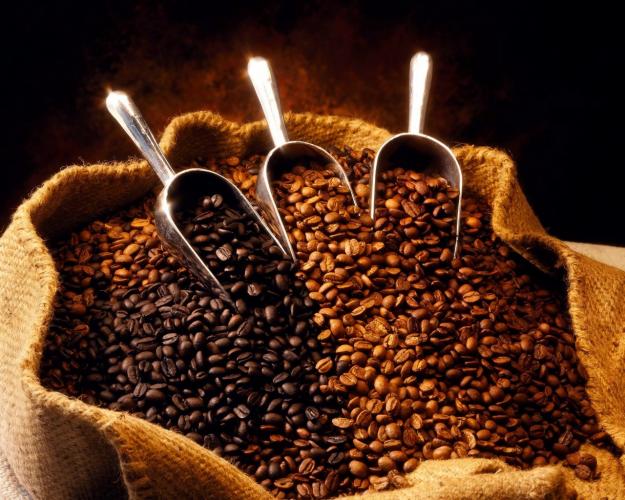 Nestlé invertiría 50 mdp en México para producción cafetalera