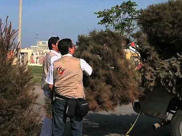 Instalan centros de acopio en Medellín y Boca del Río como parte de “Recicla tu Navidad”