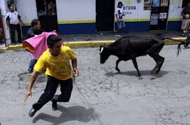 A consulta pública si se realizan o no las vaquilladas