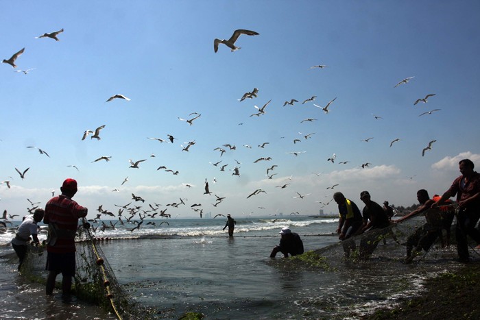 Pescadores buscan alternativas para sobrevivir durante la mala temporada